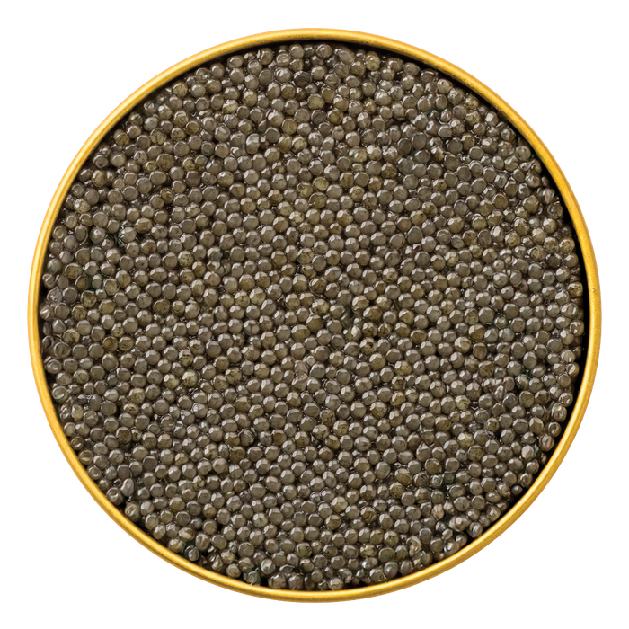 Paddlefish Caviar (Spoonbill) - Browne Trading Company