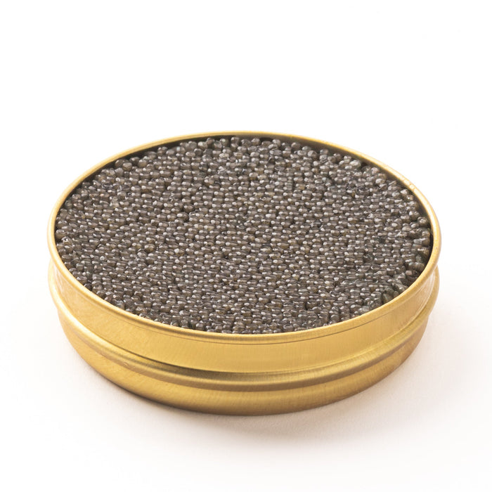 Side view of a gold tin containing small, brown pearls on a white surface.