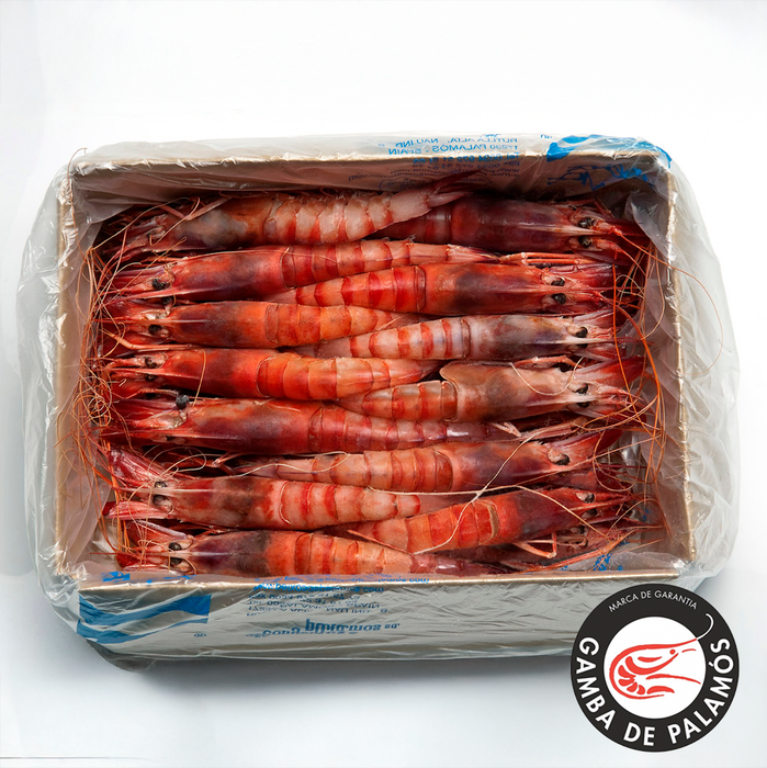 Palamós Gambas Prawns