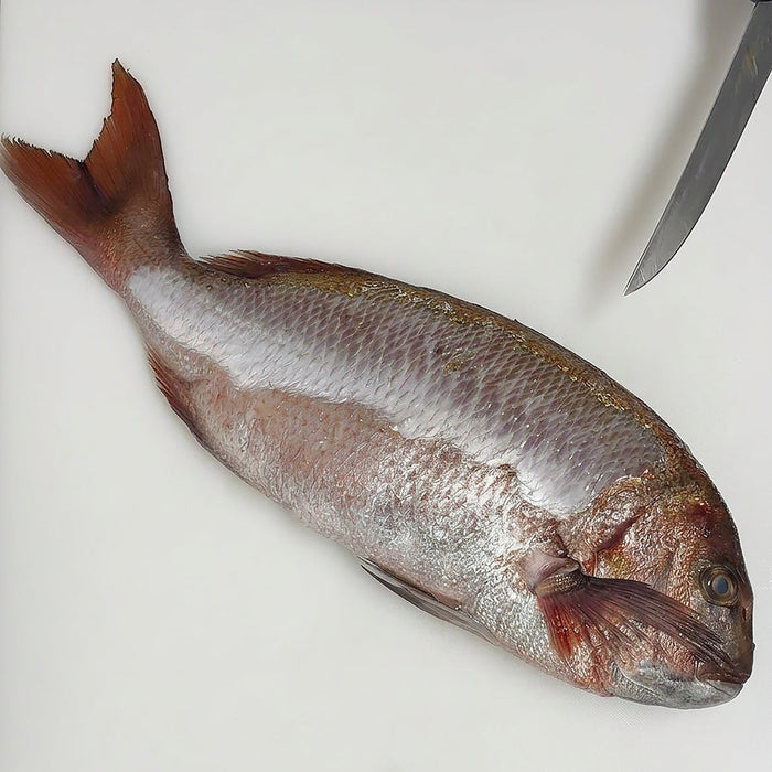 Whole Madai in the process of being scaled 
