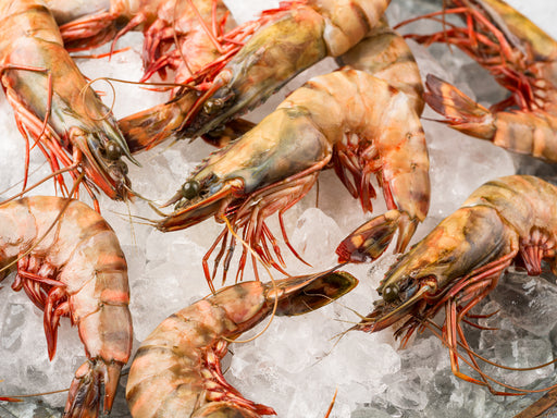Jumbo Tiger Prawns - Browne Trading Company