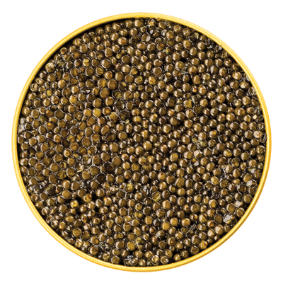 Close-up view of glossy dark gray-brown pearls of Idaho Springs Royal White Sturgeon Caviar in its open tin container.