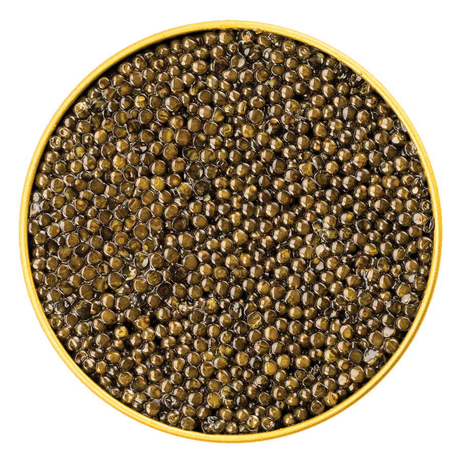 Idaho Springs Royal White Sturgeon Caviar in a transparent container, showcasing glossy, pearl-like caviar grains from Browne Trading Company.