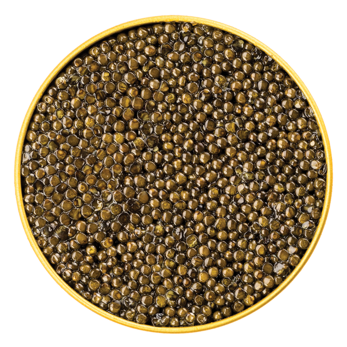 Idaho Springs Royal White Sturgeon Caviar - Browne Trading Company