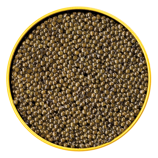 Sturia Premier Osetra Caviar - Browne Trading Company