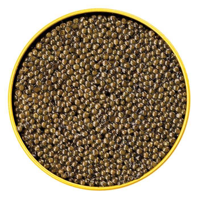 Sturia Premier Osetra Caviar - Browne Trading Company