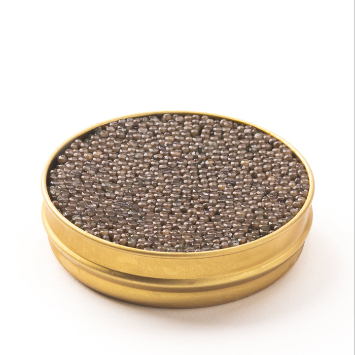 Side view of an opened gold tin containing shiny brown pearls on a white surface.