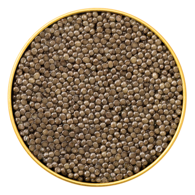 Close-up of a tin filled with glossy, brown Royal Belgian Osetra Caviar pearls, showcasing their luxurious appearance.