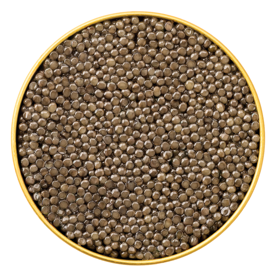 Glass jar of Royal Belgian Osetra Caviar from Browne Trading Company, shiny black pearls with delicate texture inside.