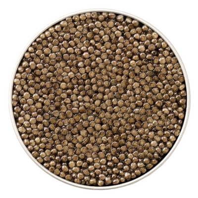 Close-up view of glossy silver-brown caviar pearls neatly packed in a round tin, showcasing Royal Belgian Platinum Caviar's luxurious firm pearls.