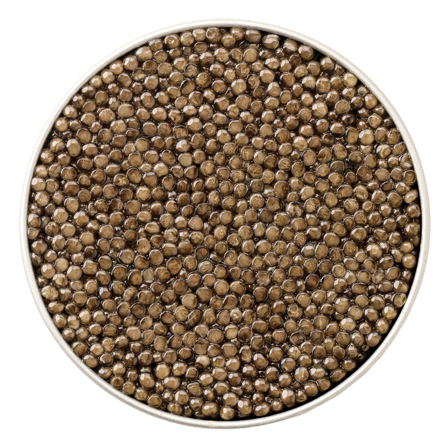 Transparent image of Royal Belgian Platinum Caviar by Browne Trading Company showcasing glossy, black caviar pearls in a close-up view.