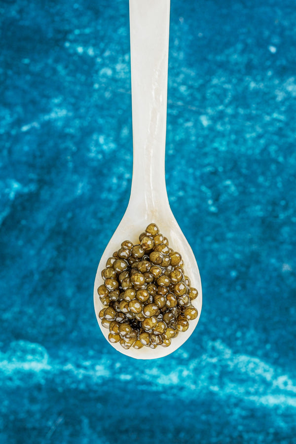 Royal Belgian Osetra-2.jpg__PID:3e837c11-100d-4937-bd48-0dec0500a484