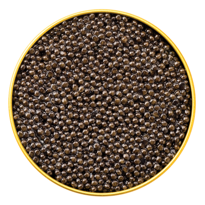 Close-up view of glossy dark brown Royal Belgian Siberian Caviar pearls in a round gold-rimmed tin, showcasing their firm texture and well defined appearance.