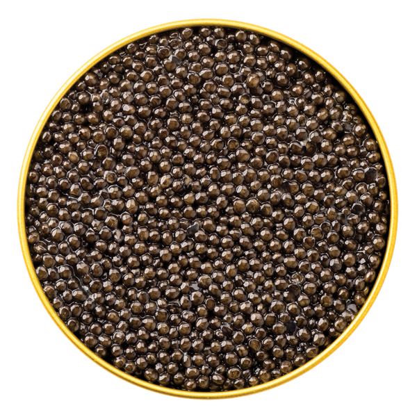 Royal Belgian Siberian Caviar - Browne Trading Company