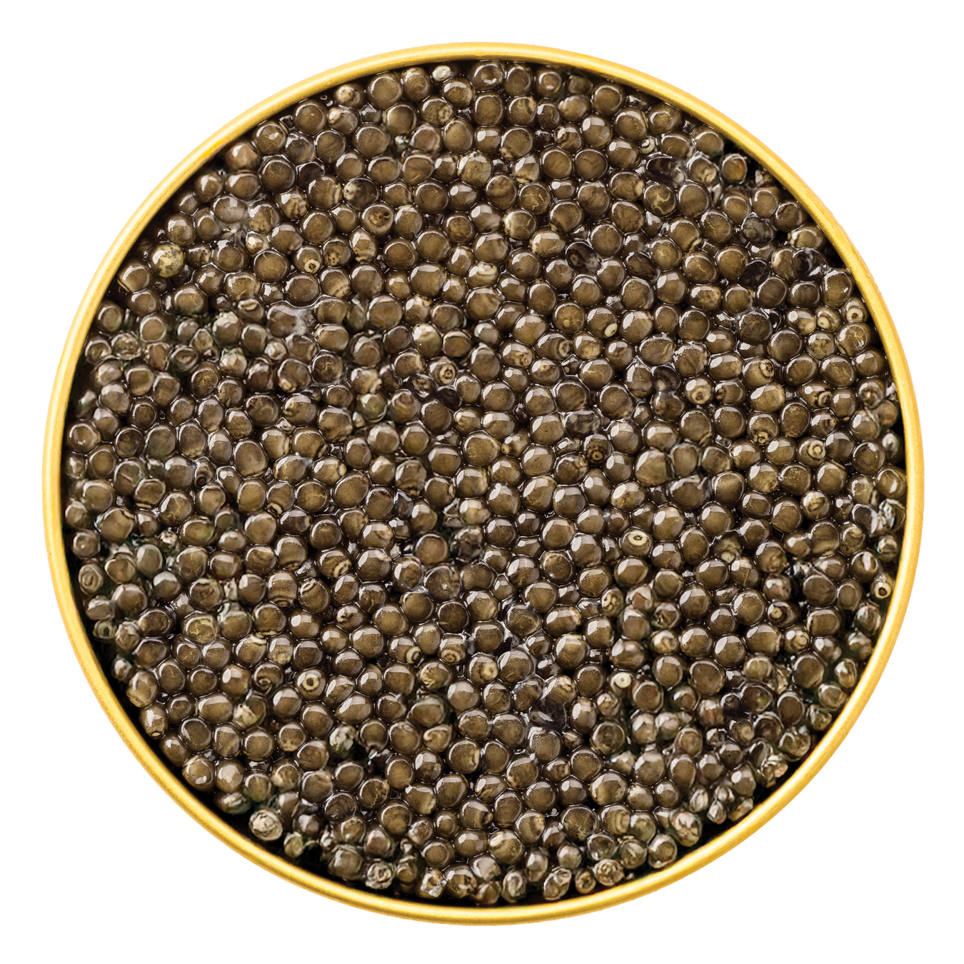 White Sturgeon Caviar