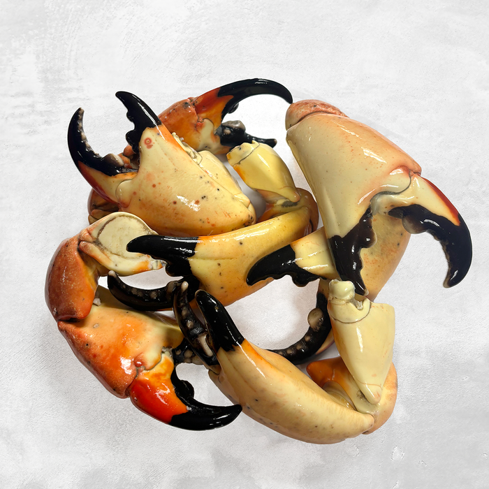 Stone Crab Claws