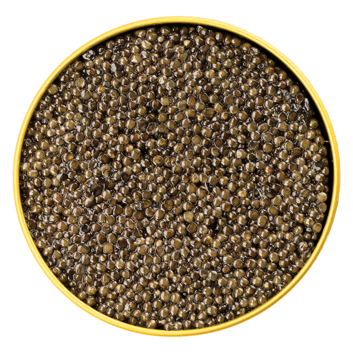 Sturia Classic Siberian Caviar - Browne Trading Company