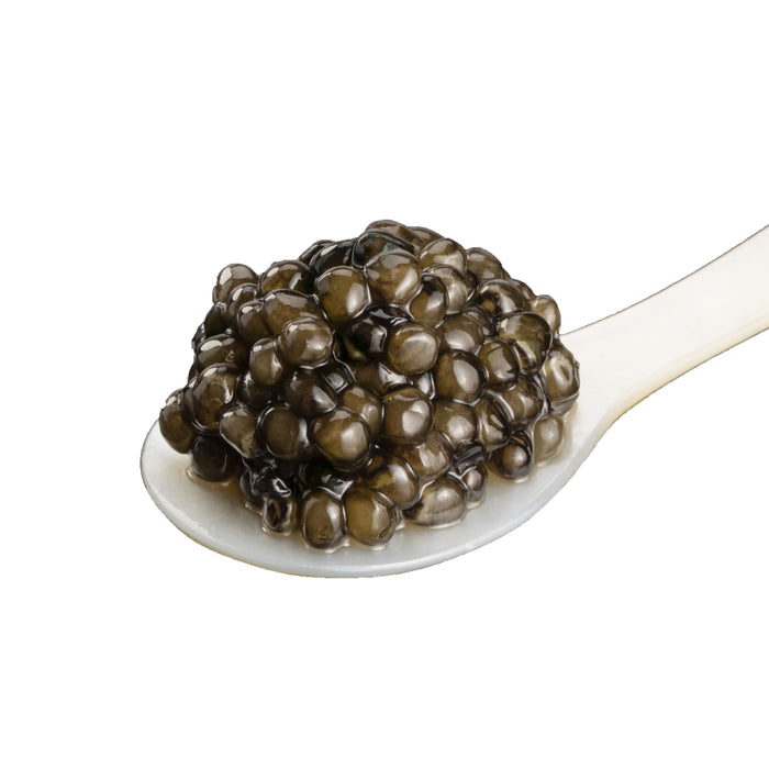 Sturia Premier Osetra Caviar - Browne Trading Company
