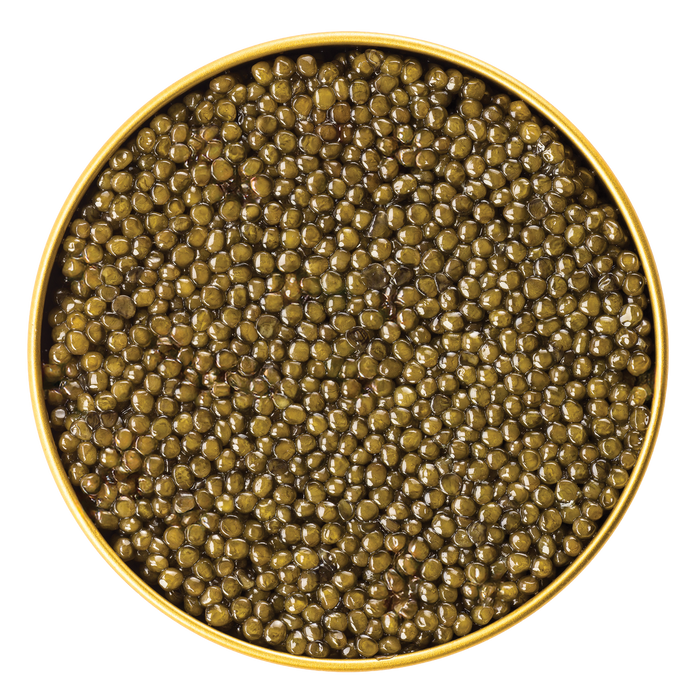 Thesauri Osetra Caviar
