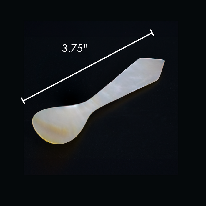 Traditional Mother of Pearl Spoon - Browne Trading Company