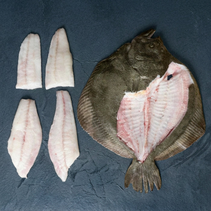 A whole cleaned turbot fish shown next to four fillets, arranged on a dark slate background.