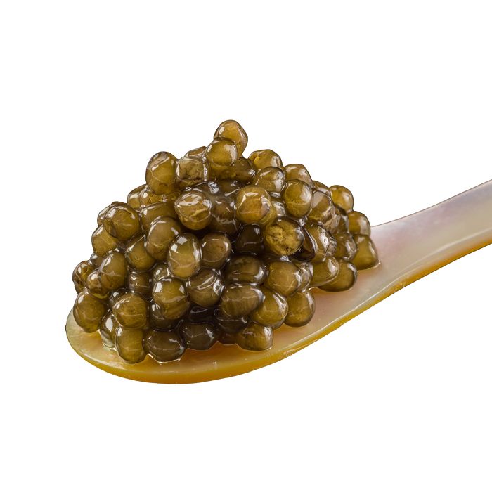Antonius Osetra Caviar - Browne Trading Company