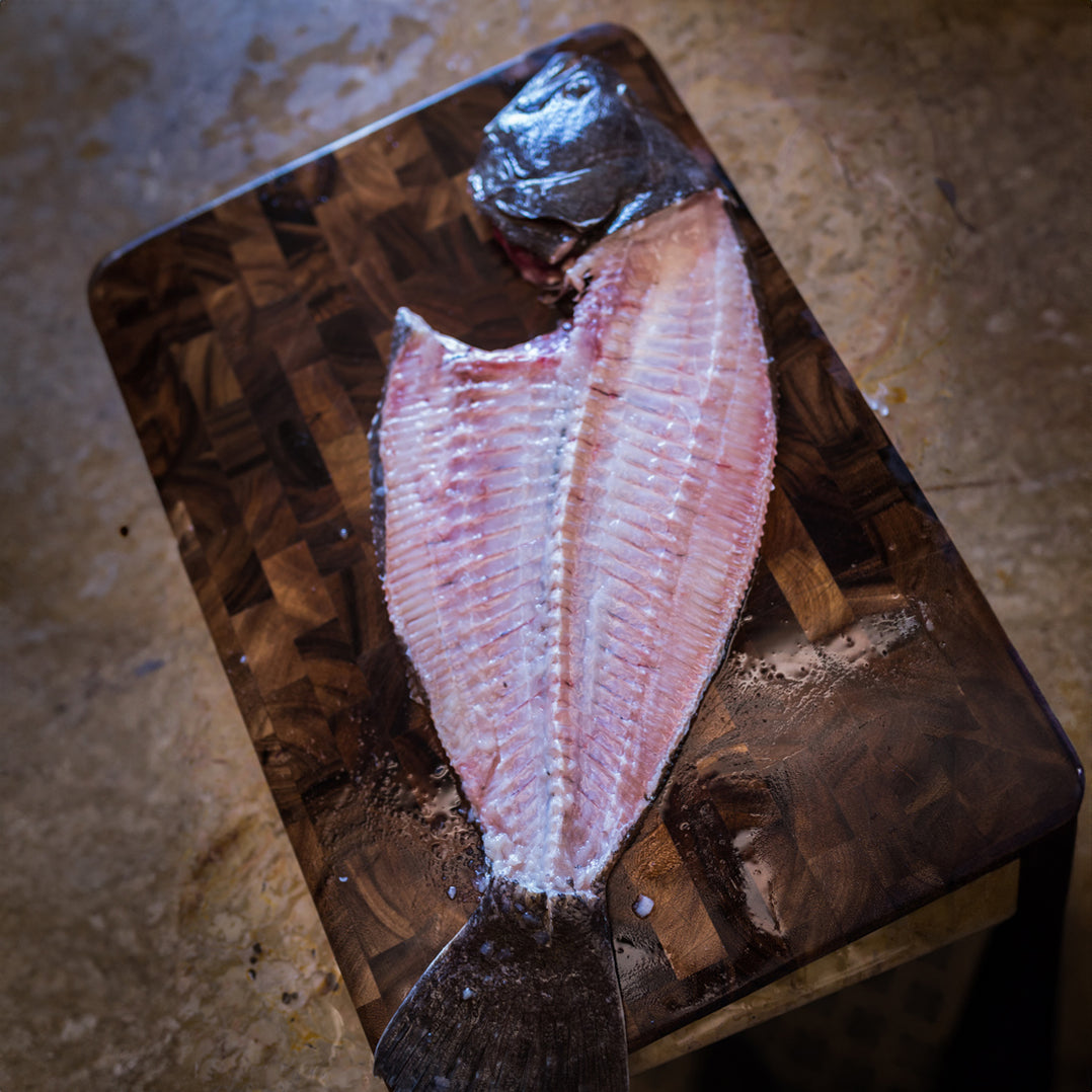 Fluke Fillets | Flounder Wild Caught in U.S.