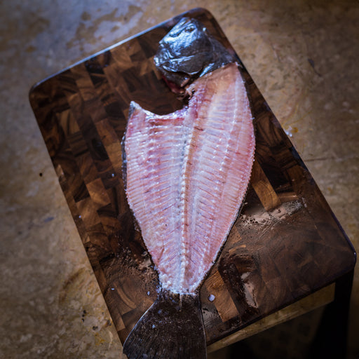 Fluke fillet - Browne Trading Company
