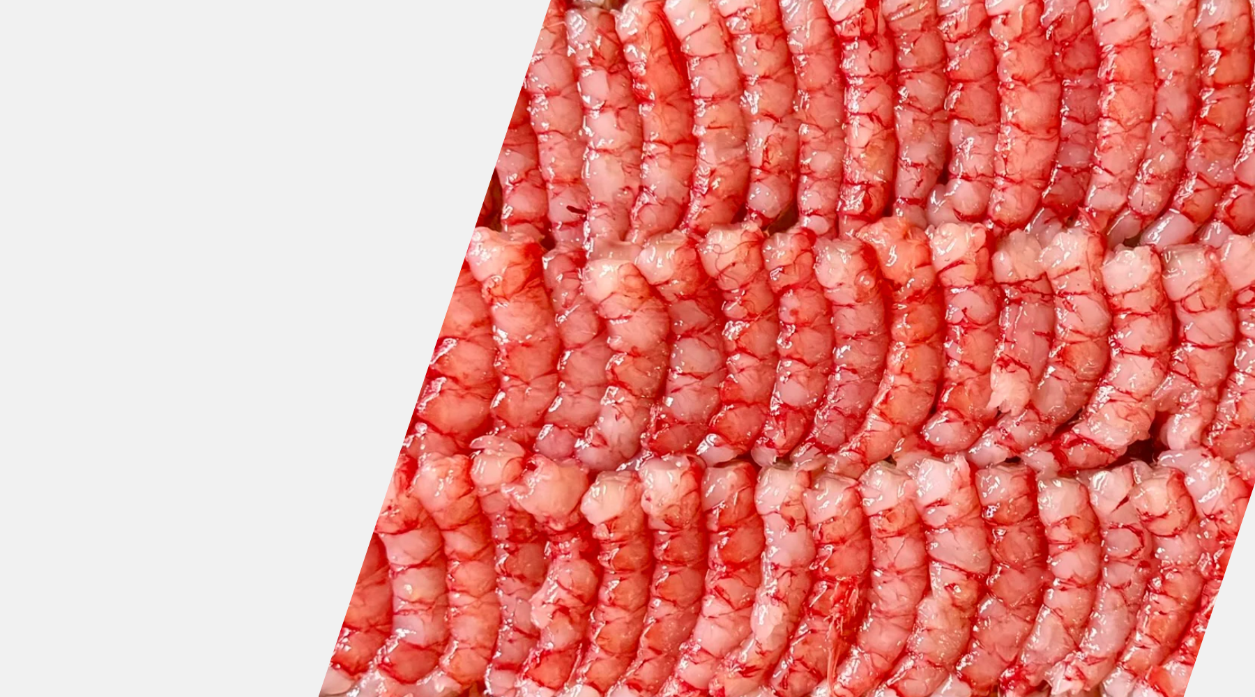 Close-up of raw gambero prawns  on a white background