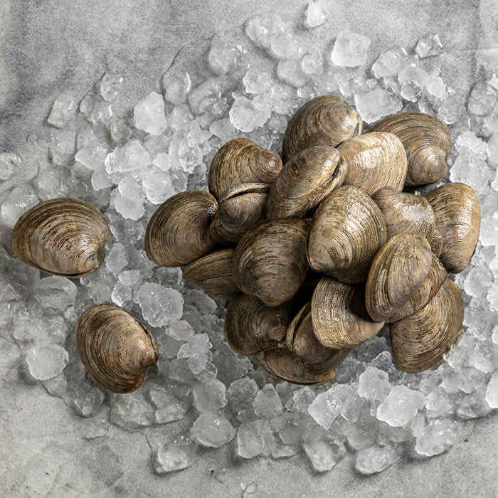 Littleneck Clams - Browne Trading Company