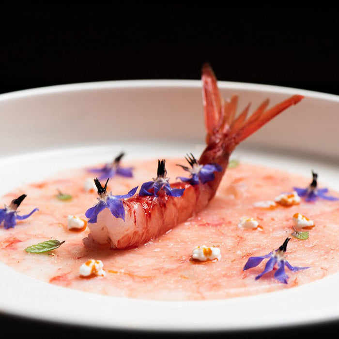 Thinly sliced Gambero Rosso prawns carpaccio from Browne Trading Company, showcasing fresh, delicate seafood slices on a white plate.