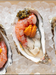 Fresh Gambero Rosso prawns from Browne Trading Company, displayed on a plate with lemon slices and garnishes.