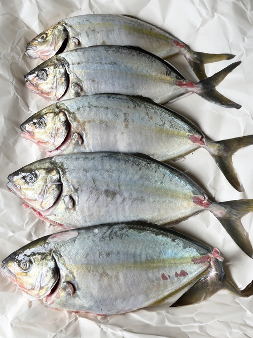 Dry-Aged Shima Aji - Browne Trading Company