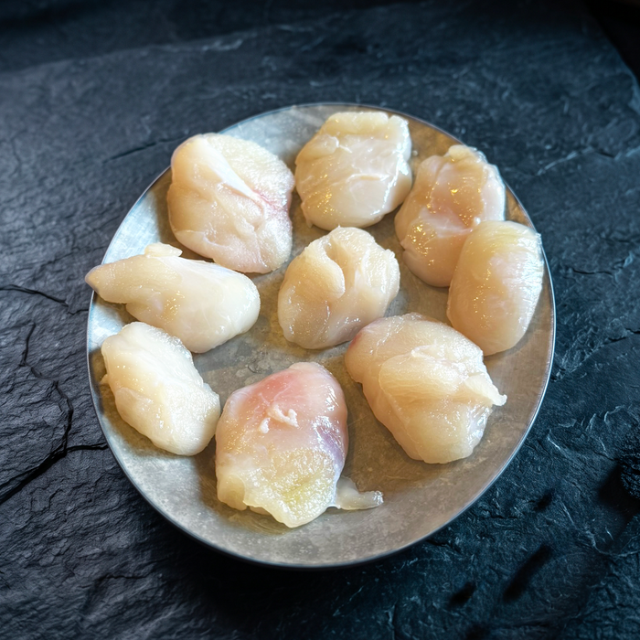 Several pale, raw white fish medallion pieces arranged on a round metal plate over a dark textured surface.