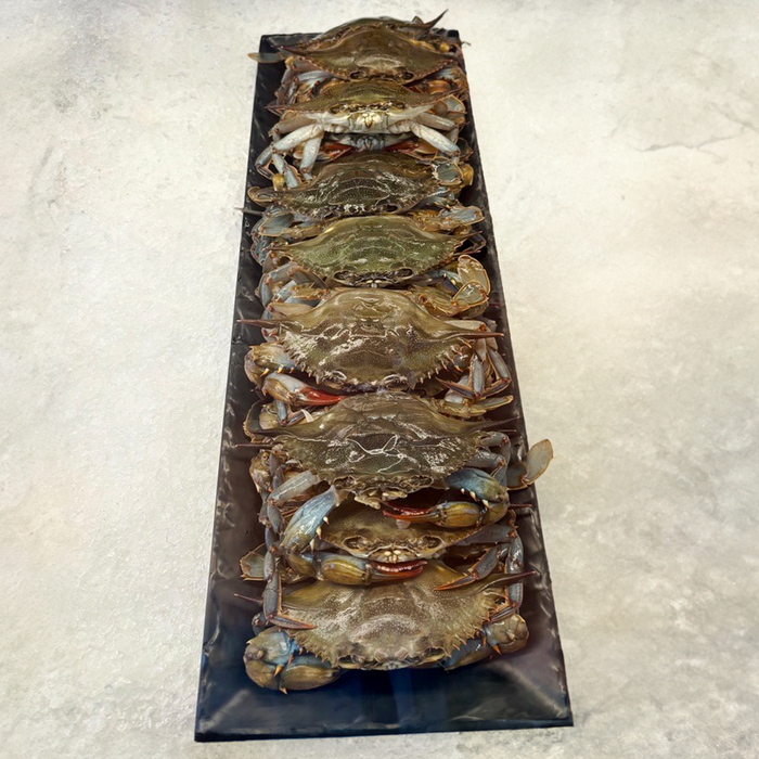 Fresh soft shell crab from Browne Trading Company displayed on ice, showcasing its delicate, crispy shell and fresh seafood quality.