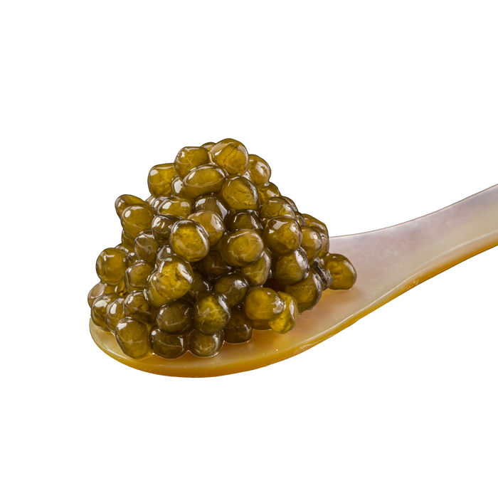 Thesauri Osetra Caviar