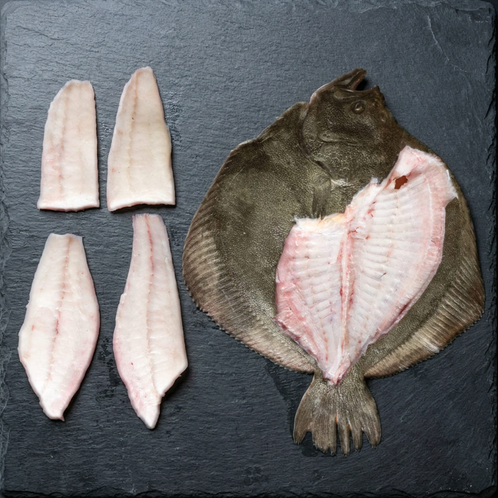 whole turbot and four fillets on a slate background