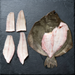 whole turbot and four fillets on a slate background