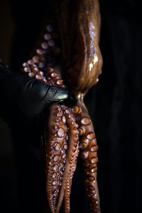 Whole spanish octopus tentacles