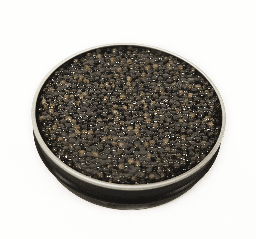 Giaveri Siberian Caviar Browne Trading Company