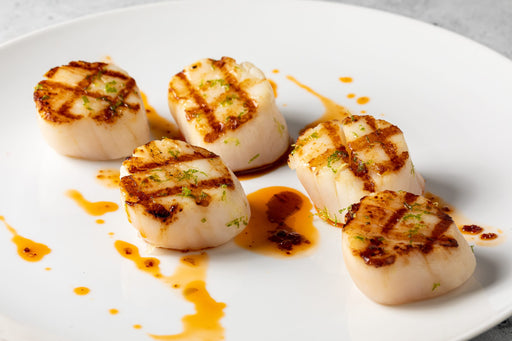 Grilled diver scallops plated