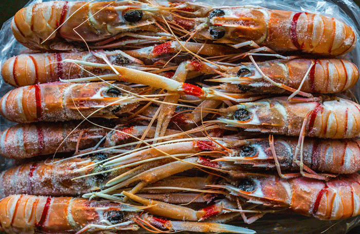 Langoustines from New Zealand