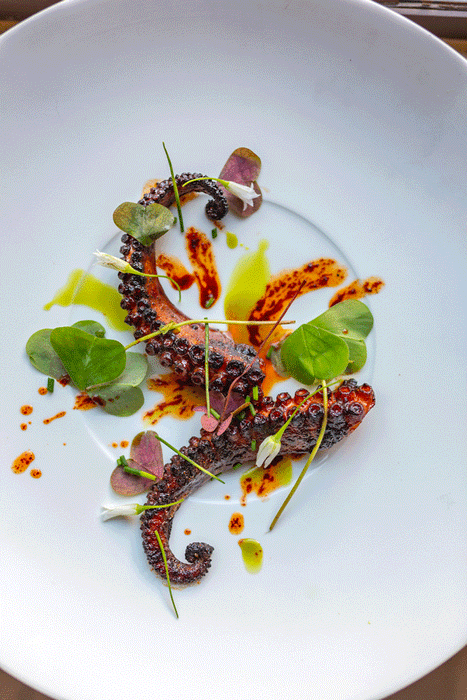 Plated-Octopus