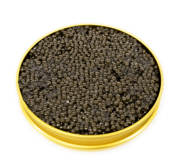 Royal Belgian Osetra Caviar