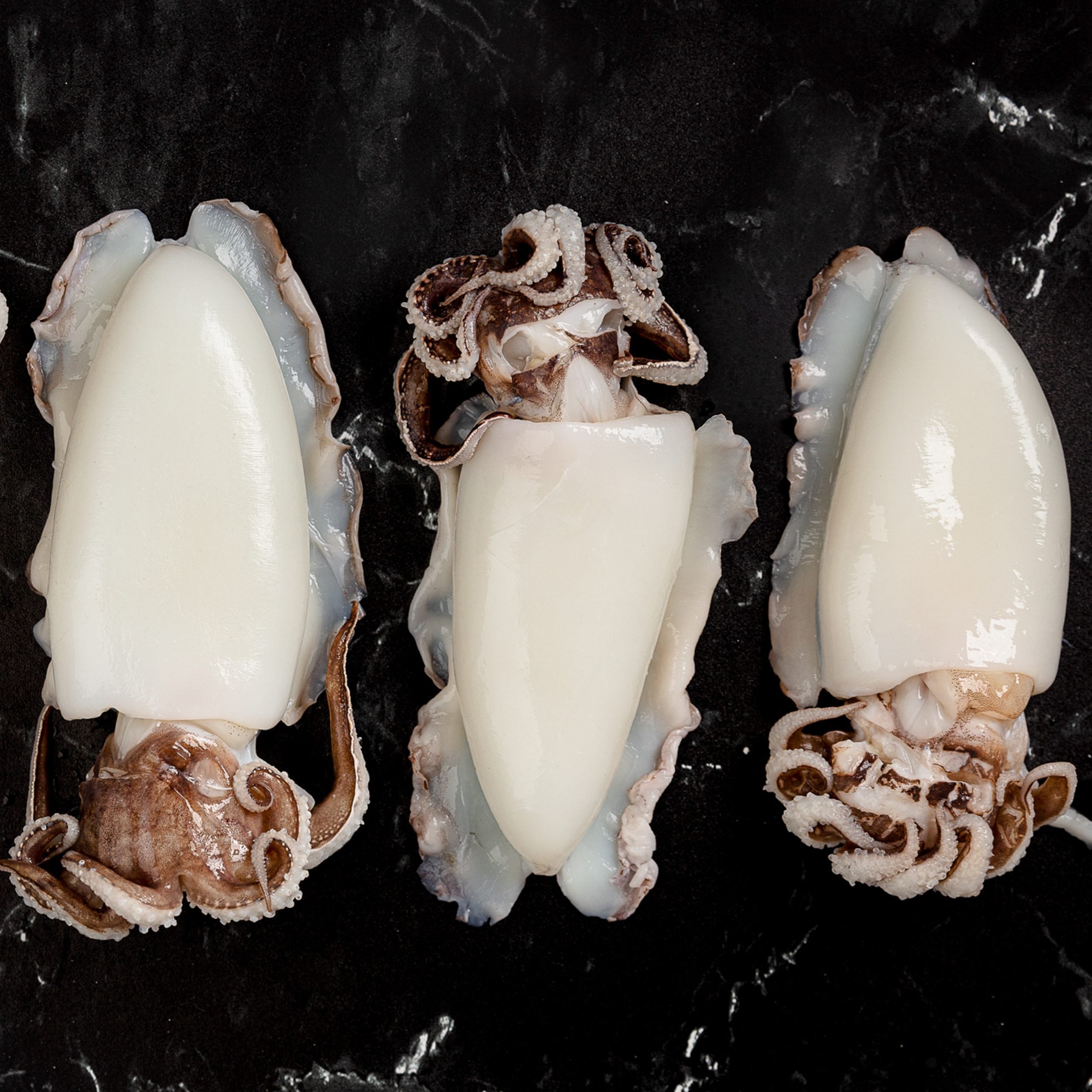 Cuttlefish - Wild Caught - Cleaned - Buy Online - Next Day Delivery