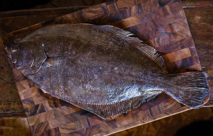 Fluke Rack Filet Fluke Fillets | Flounder Wild Caught in U.S.