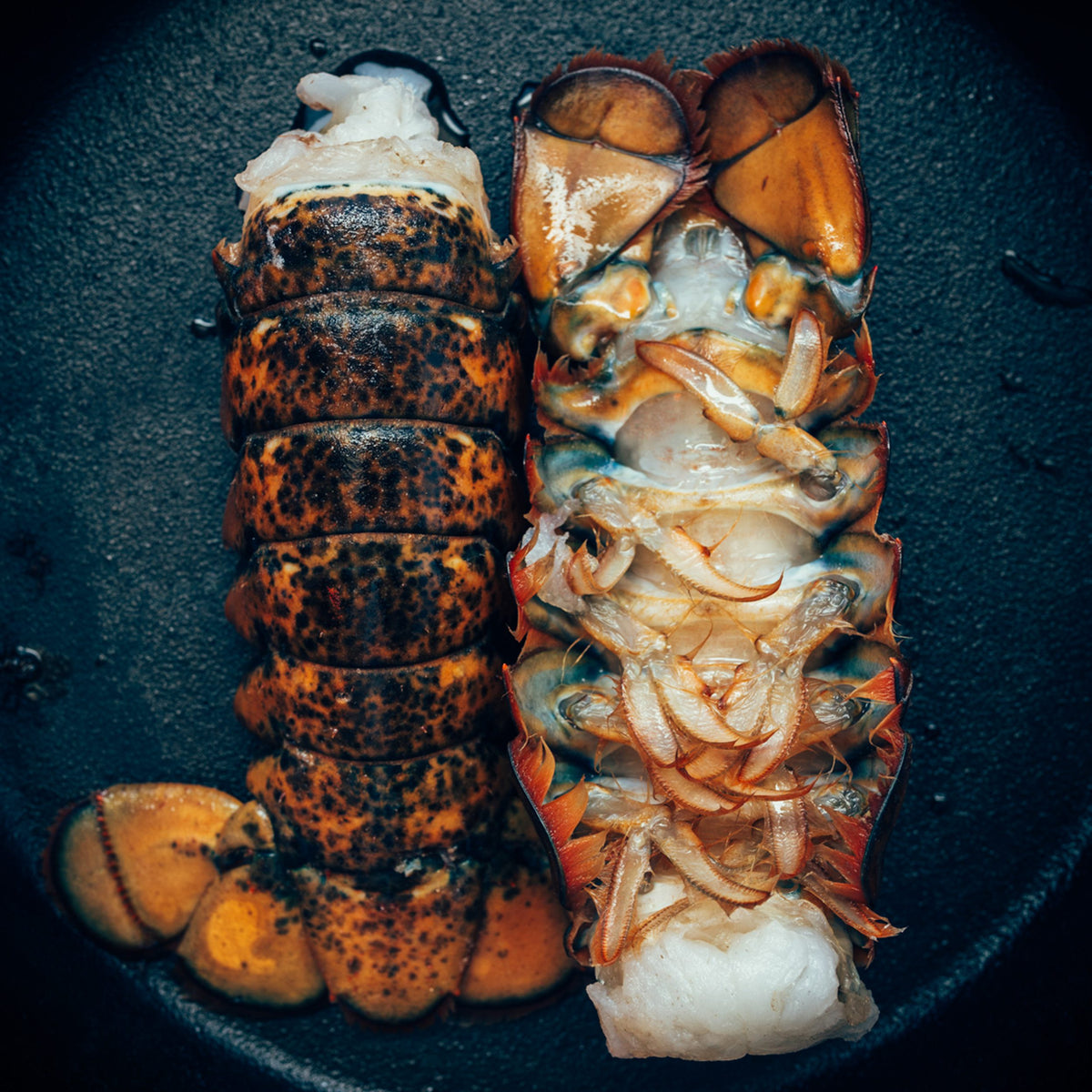 succulent lobster tails Maine Lobster Tails