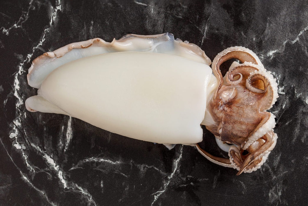 Cuttlefish - Wild Caught - Cleaned - Buy Online - Next Day